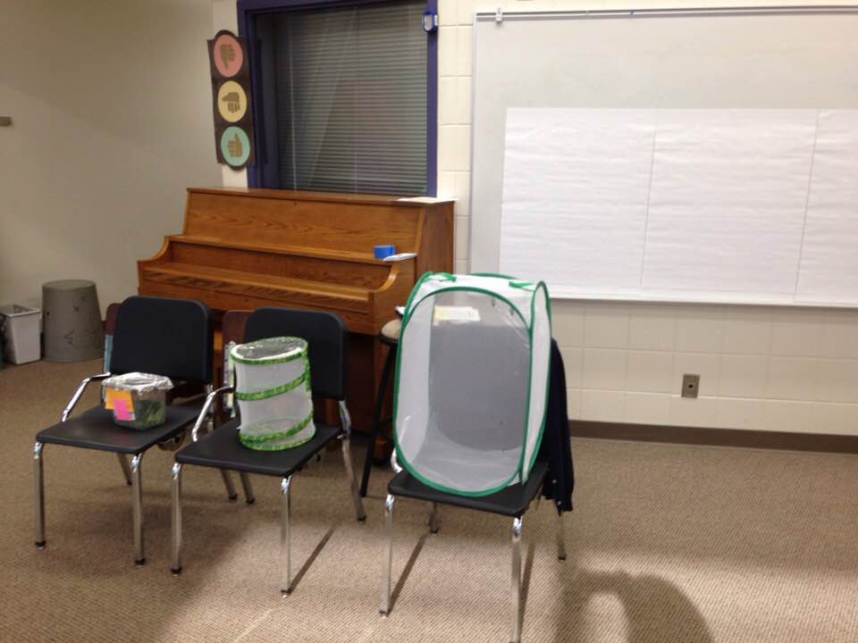 36943084_1734452369926056_6942753293261078528_n