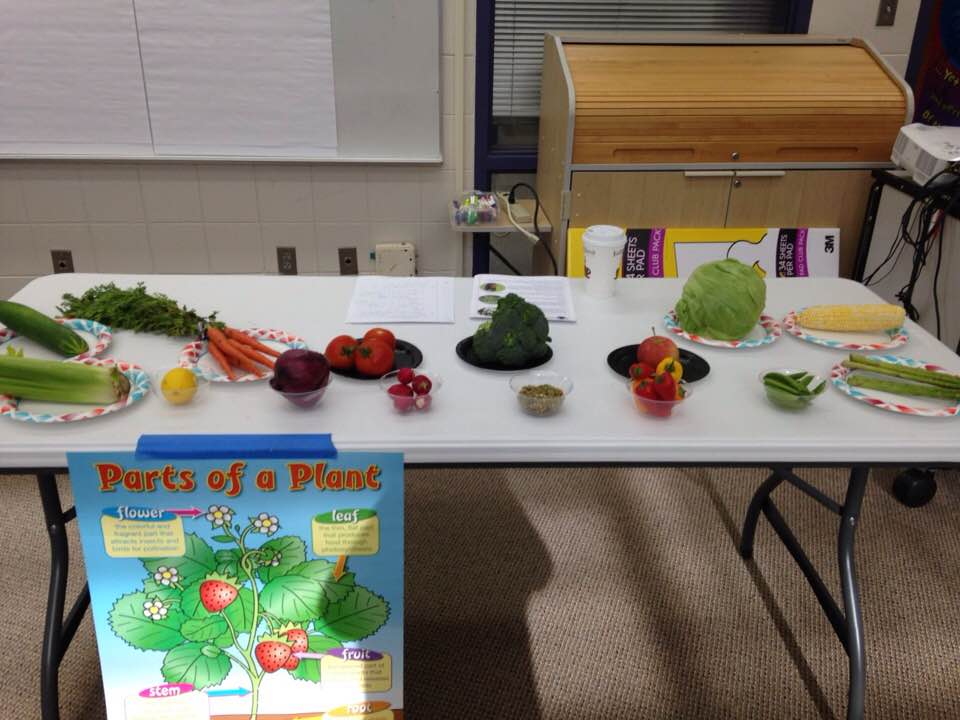 36965804_1734452343259392_5256352547903373312_n