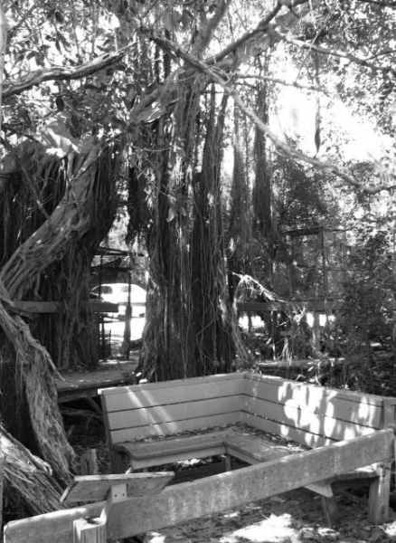 benchinfloridakeysbirdrefugeblackandwhite