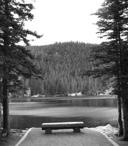 rockymountainbenchblackandwhite