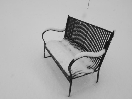 snowy bench2018blackandwhite