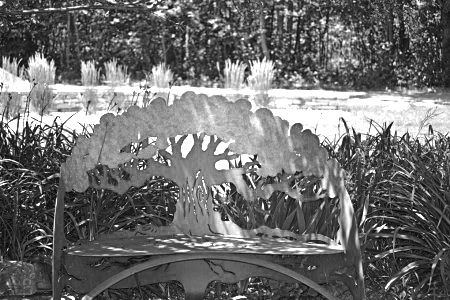 treebenchsculpture16dblackwhite
