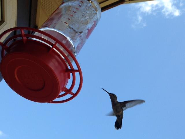 38829176_1780398908664735_625019854415462400_n