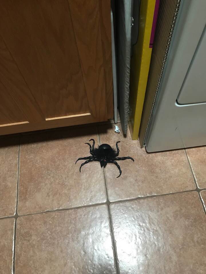 39223282_1791473580890601_4375457487092973568_n