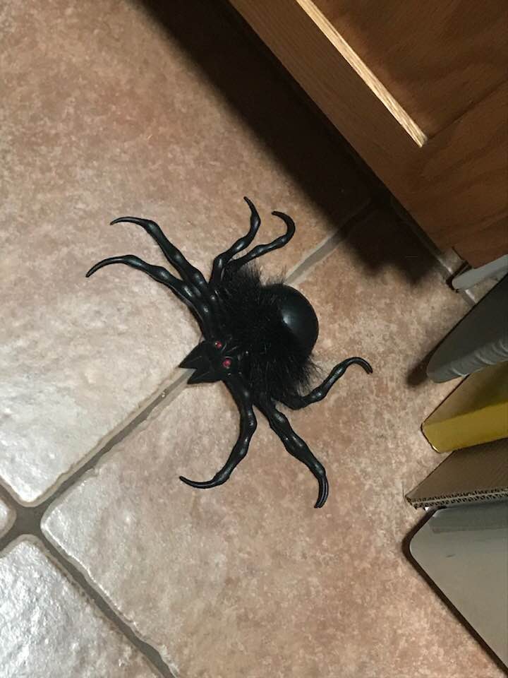 39283021_1791473530890606_6052863591680311296_n