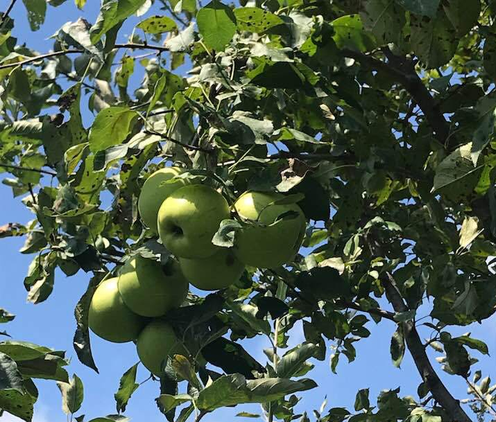 Ten Things September