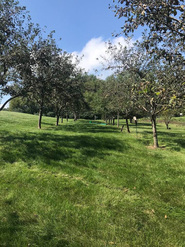 40488469_1815214111849881_5979565830130630656_n