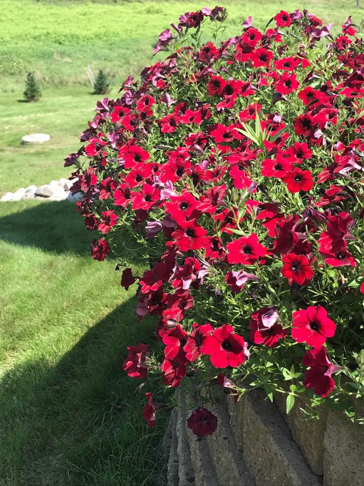 40534941_1815188425185783_2084670404131028992_n