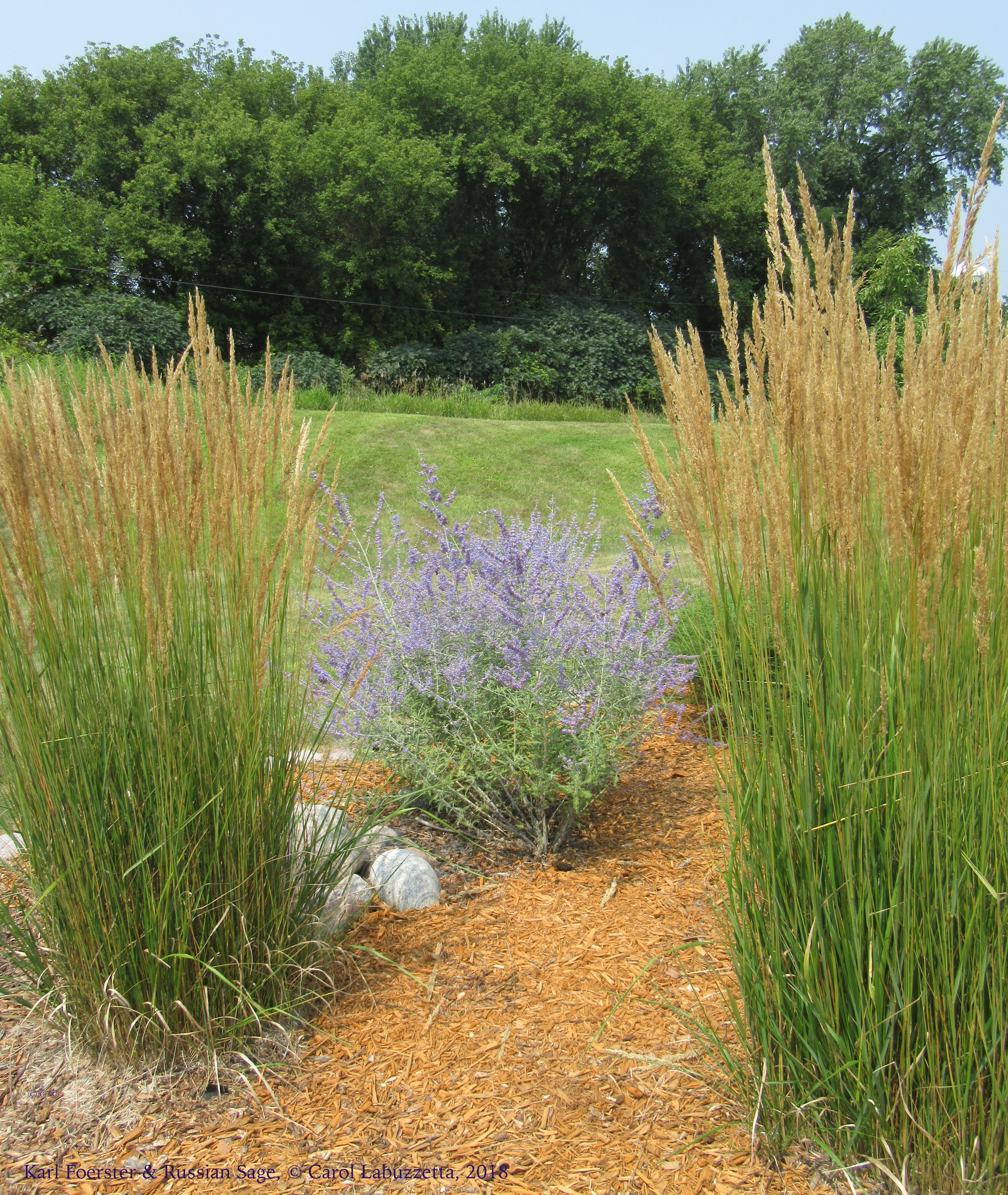 karlfoersterrussiansage18