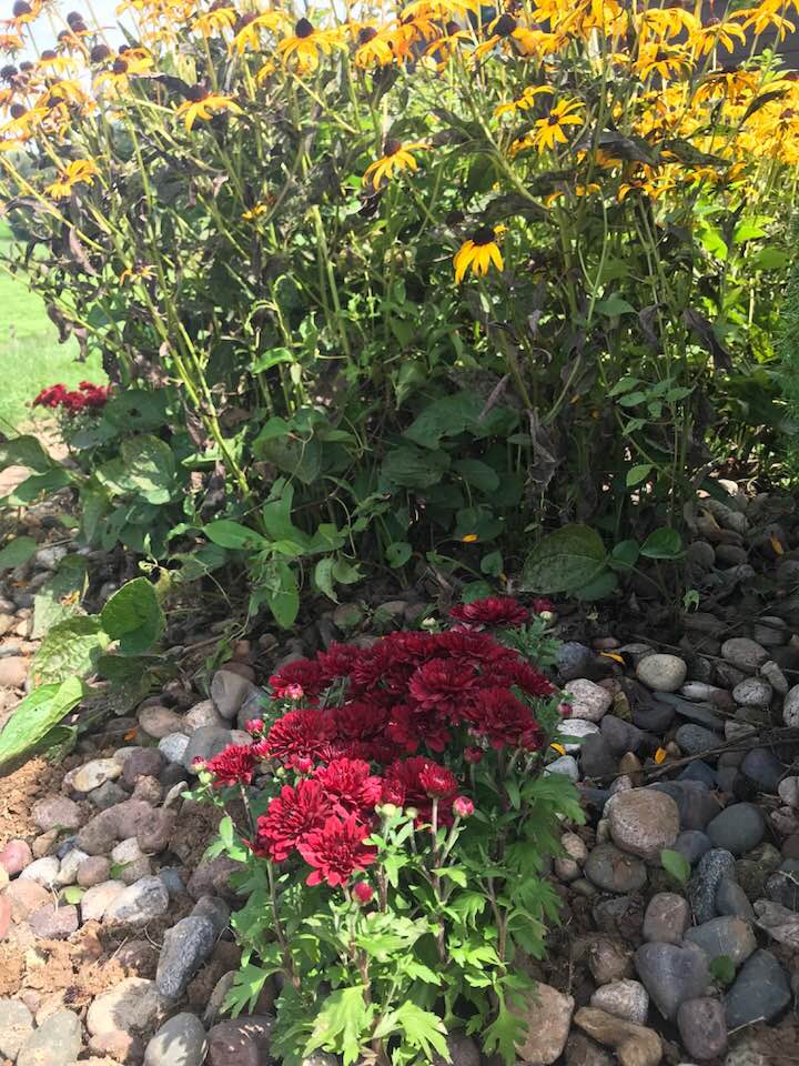 40543661_1816502805054345_6738948097109393408_n