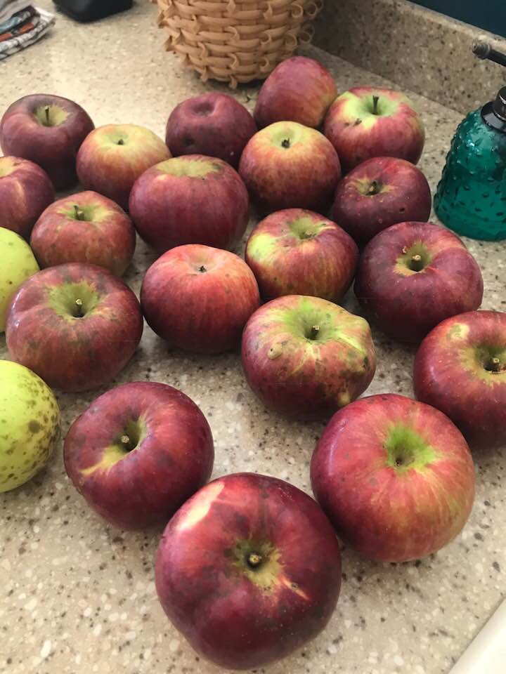 41764948_1834371889934103_7805247150807318528_n (1)