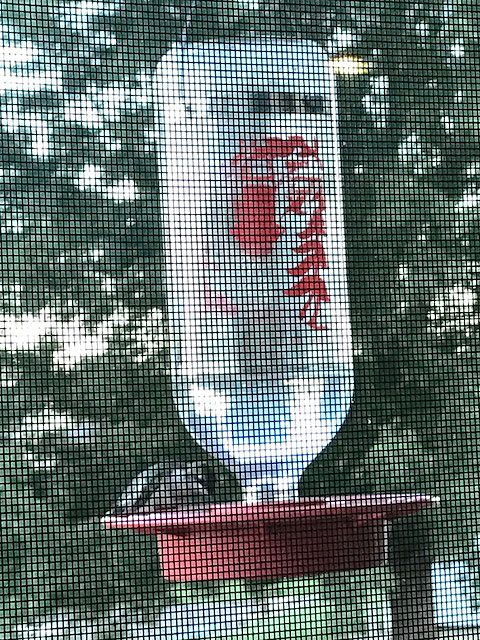 hummingbirdfeeding