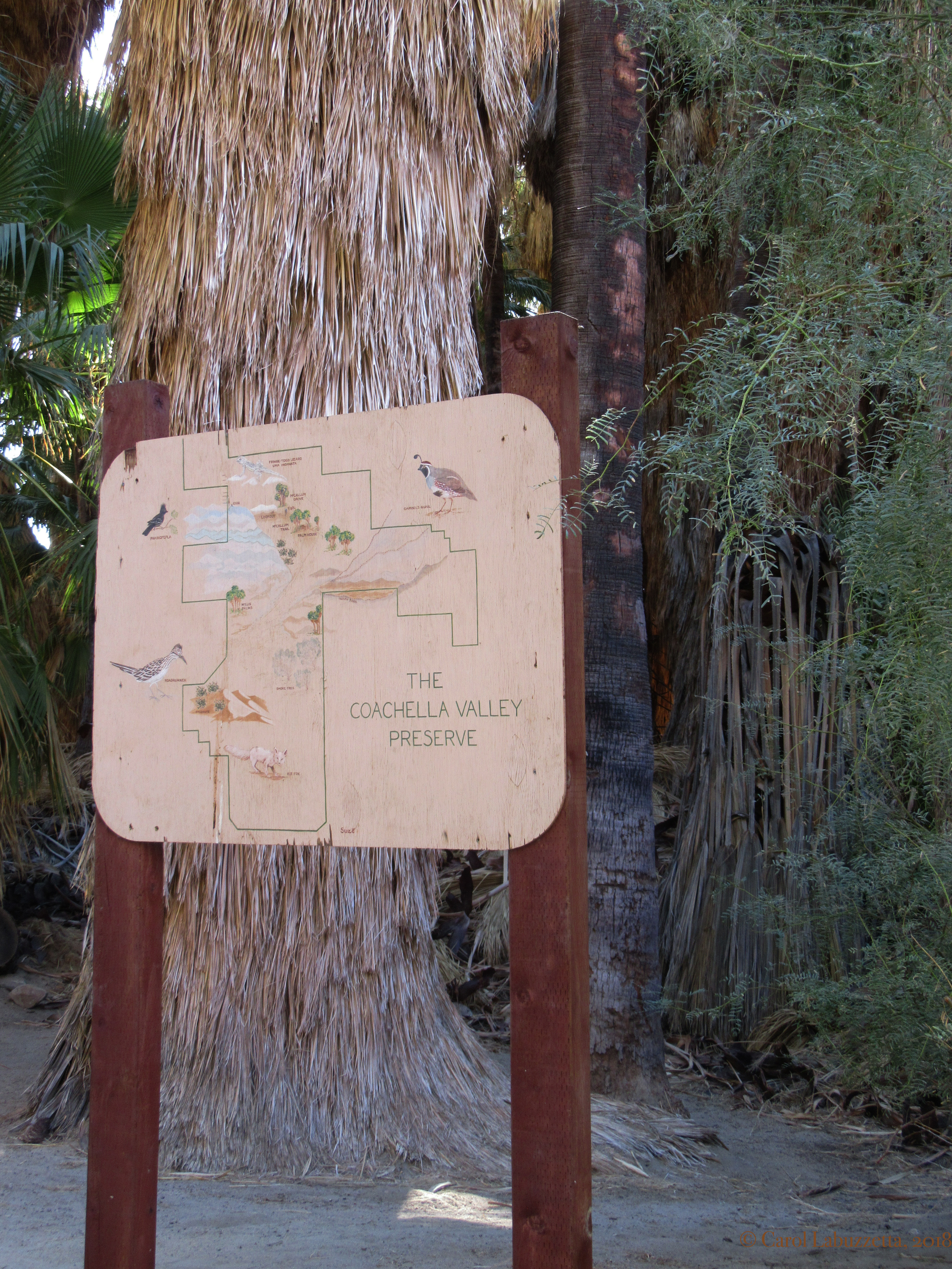 SanAndreasFaultOasiswm2167