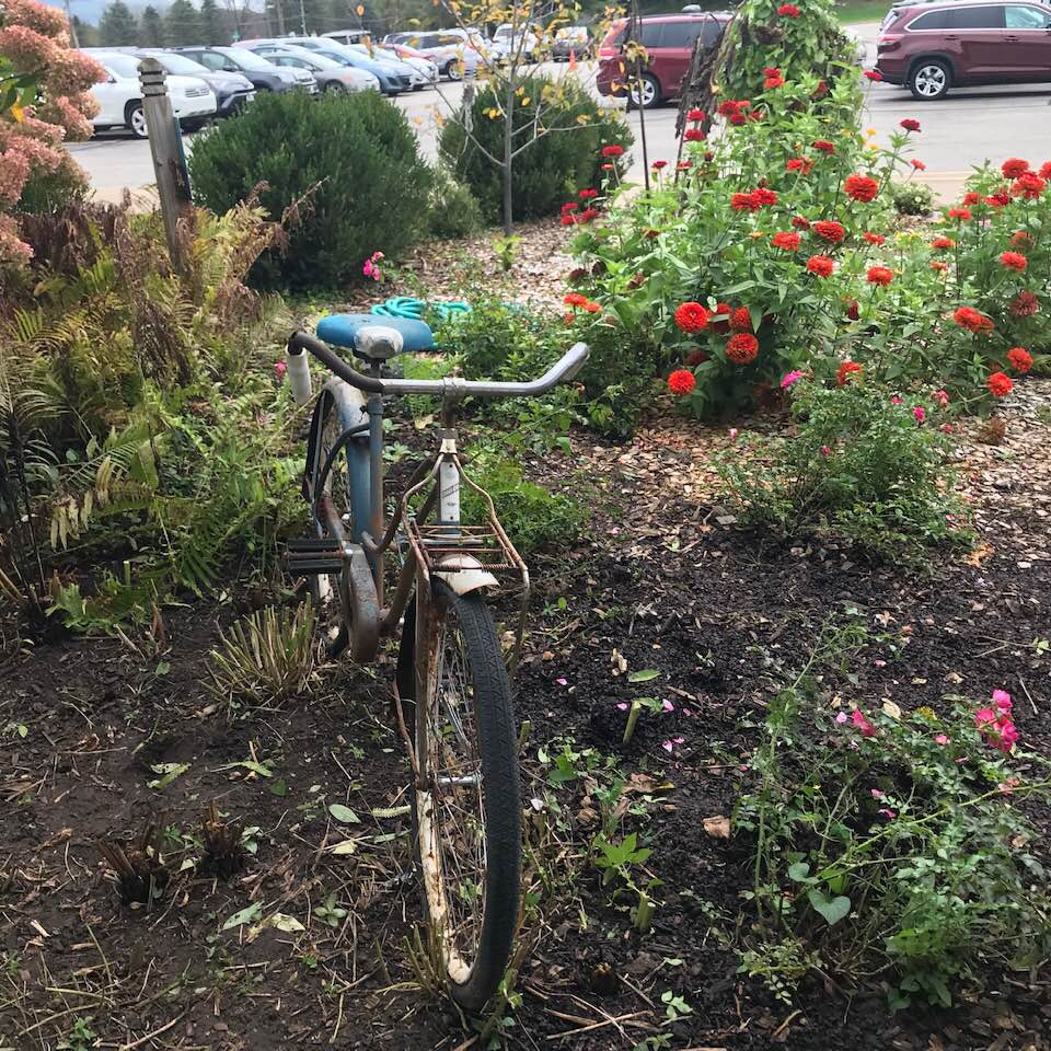 43062074_1861458633892095_152640423280508928_n (1)