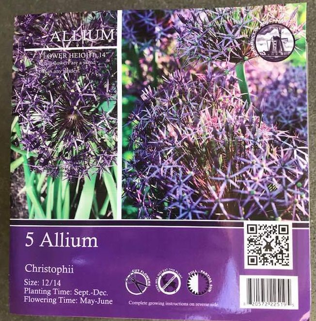 44387837_1884878864883405_6716187948716392448_n