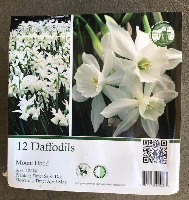 44422878_1884878601550098_3918944734596300800_n