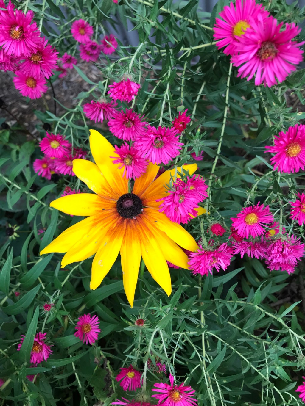 Experts who don’t listen to other experts…..Are you&nbsp;one?