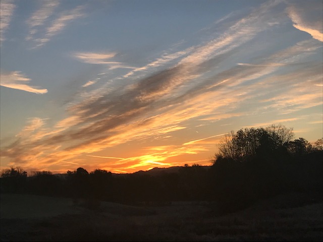 Have You Ever? A Returning Series…. Have you ever woken up and known it was going to be a great&nbsp;day?