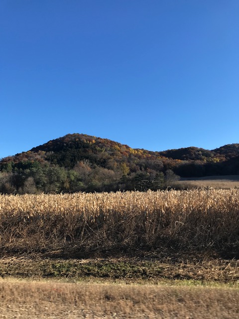 Silent Sunday: Blue&nbsp;Skies