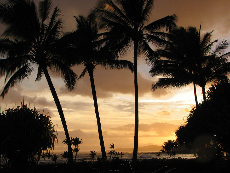 The First Few Days of&nbsp;Retirement