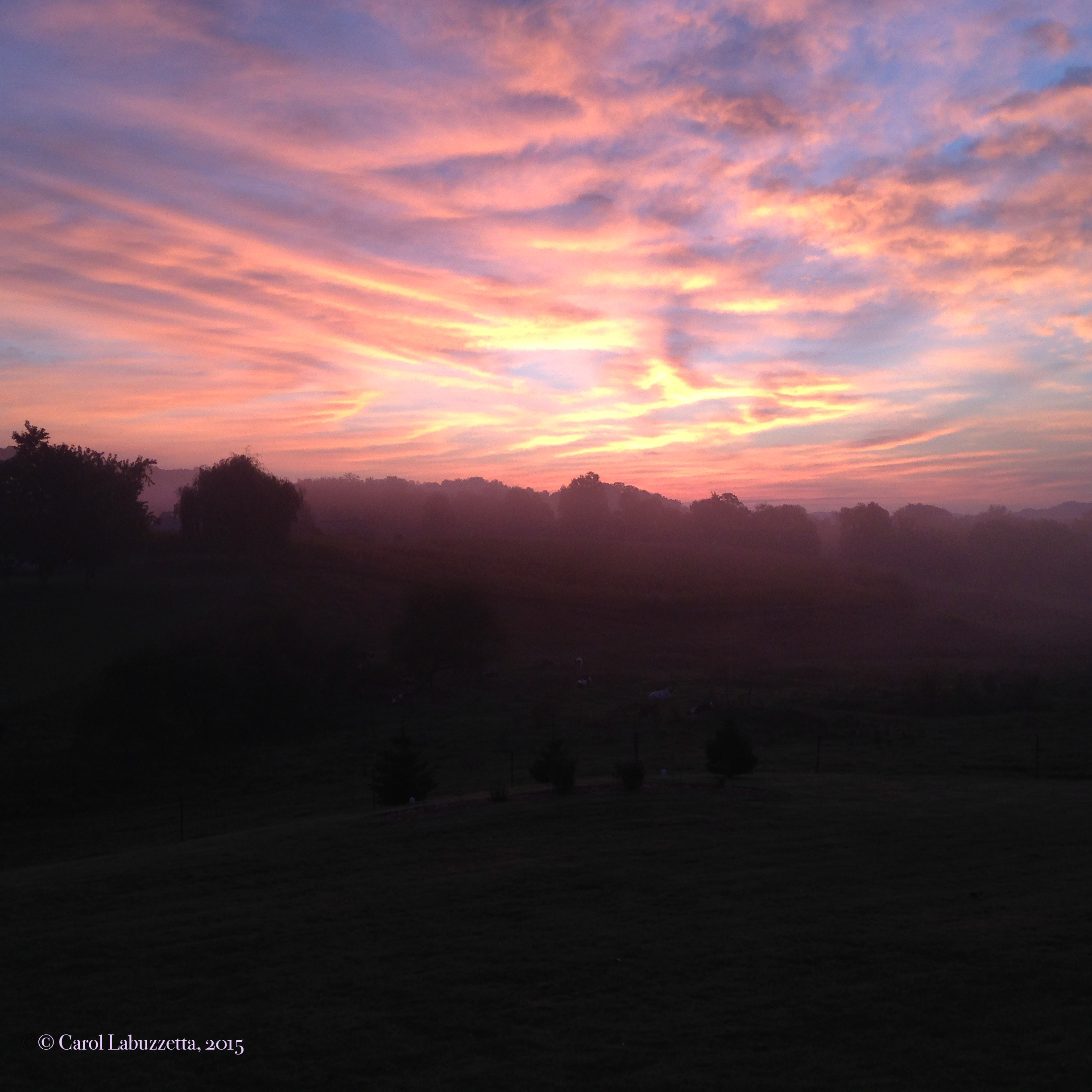 FallSunriseGlowIMG_1285