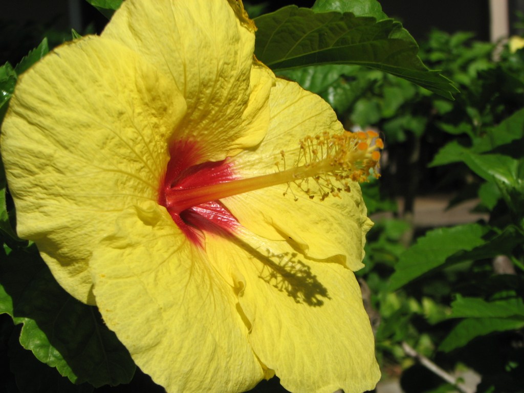 Storing Color for&nbsp;Winter