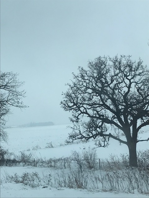 Whew! Let’s Pass on the&nbsp;Negativity!