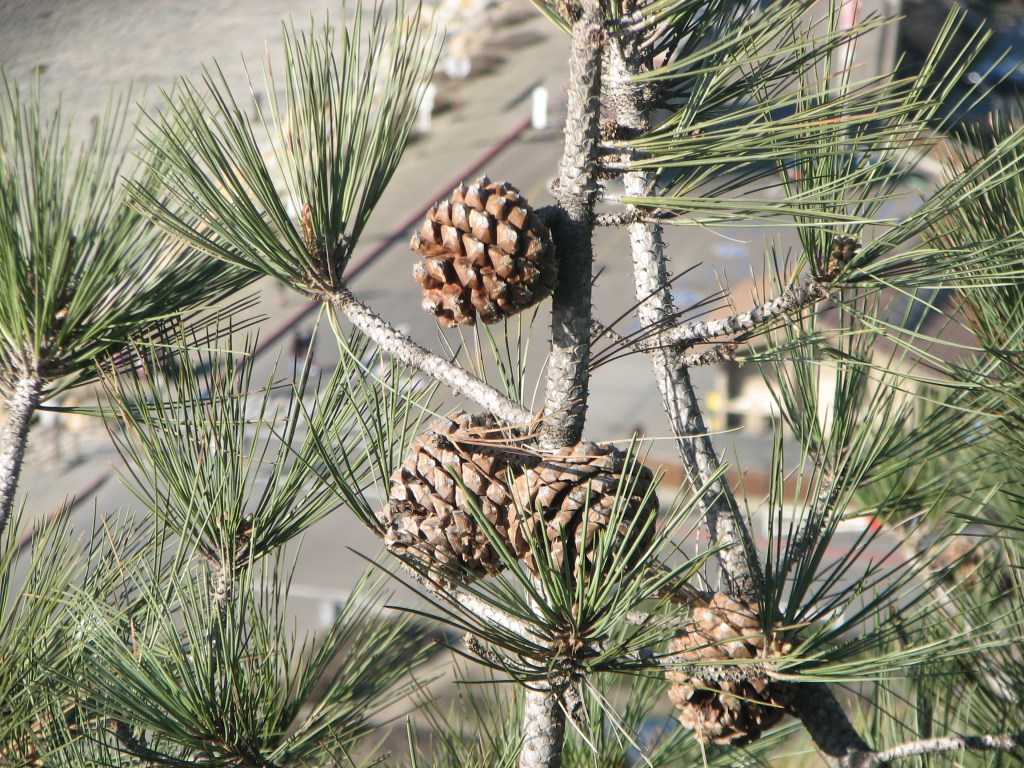 Reality Check: We Are All&nbsp;Replaceable