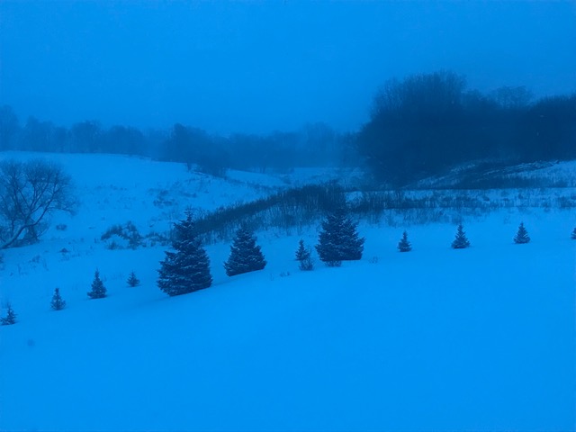 The Worlds of Snow Days and Work Days