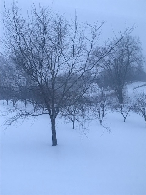 Poetry Friday: Frigid