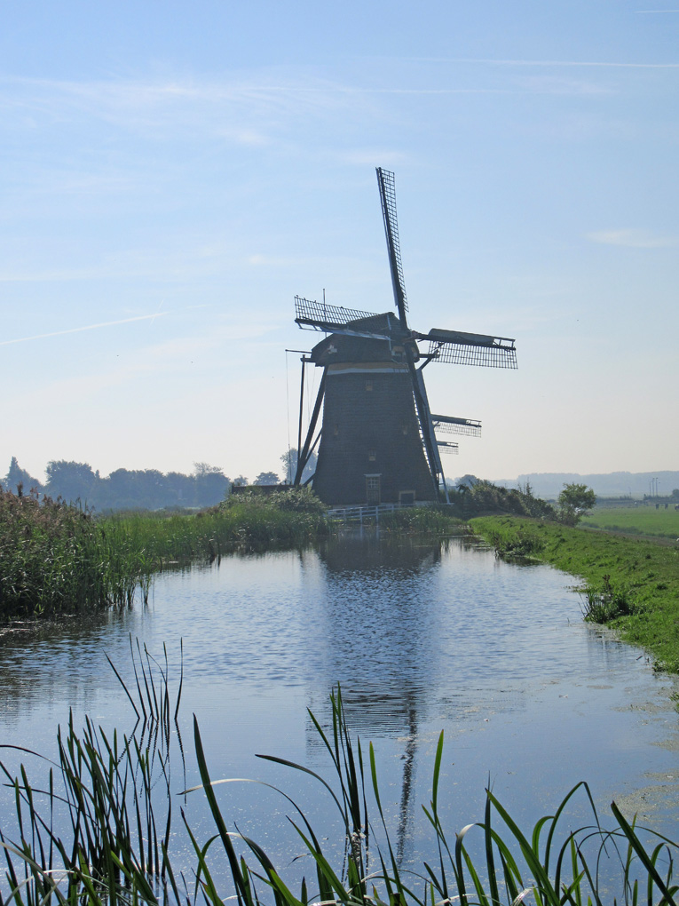 reflectionsandreality