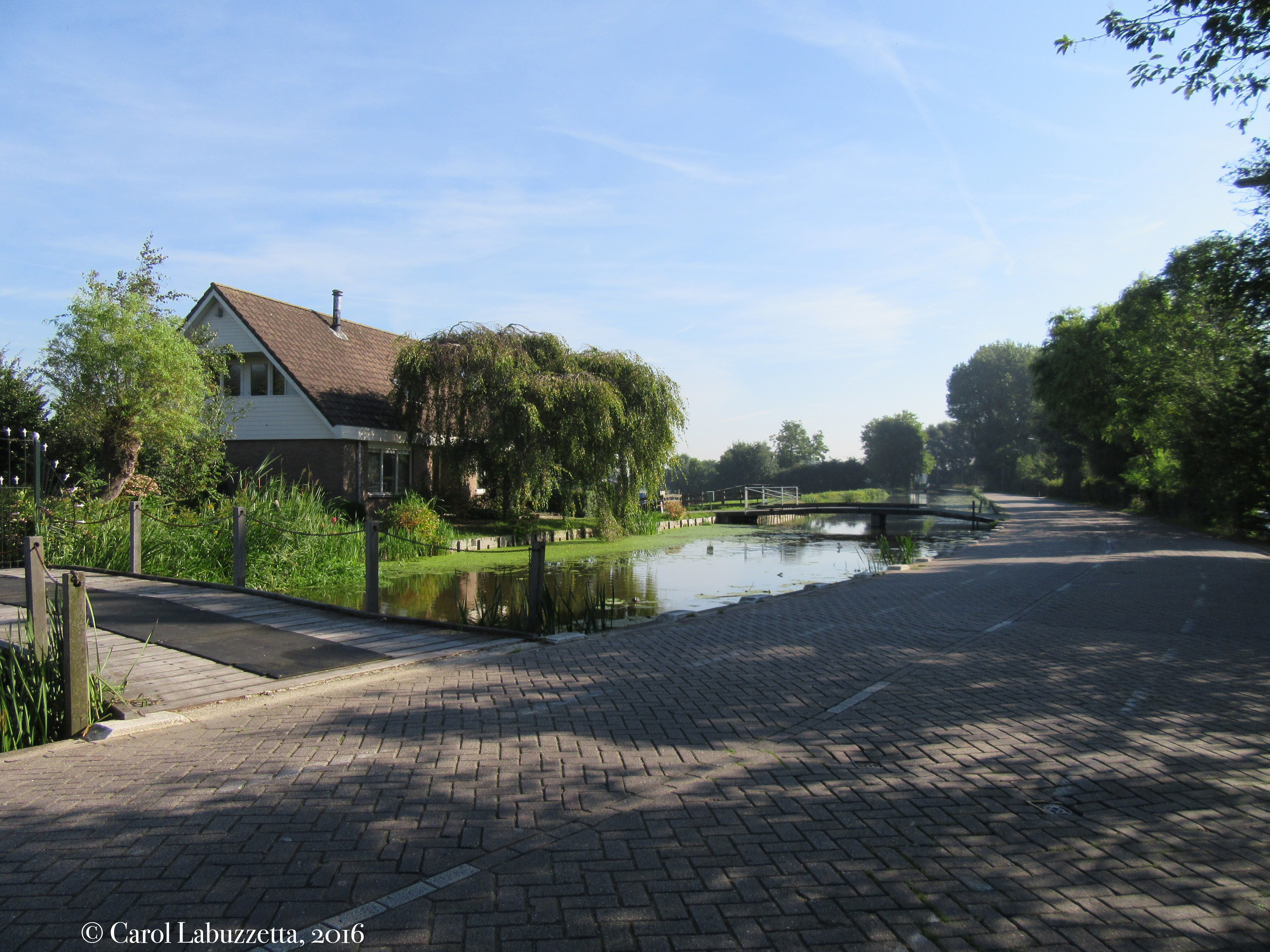 roadtowindmillsnl2016