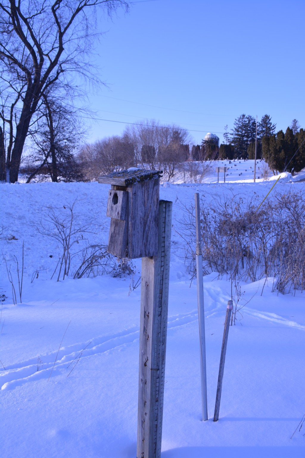 Was Your Snowblower Tuned&nbsp;Up?