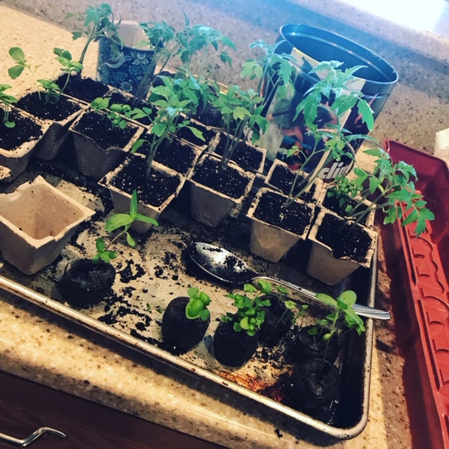 1D08E13D-9E02-4DCA-A399-44DE134DBD5D