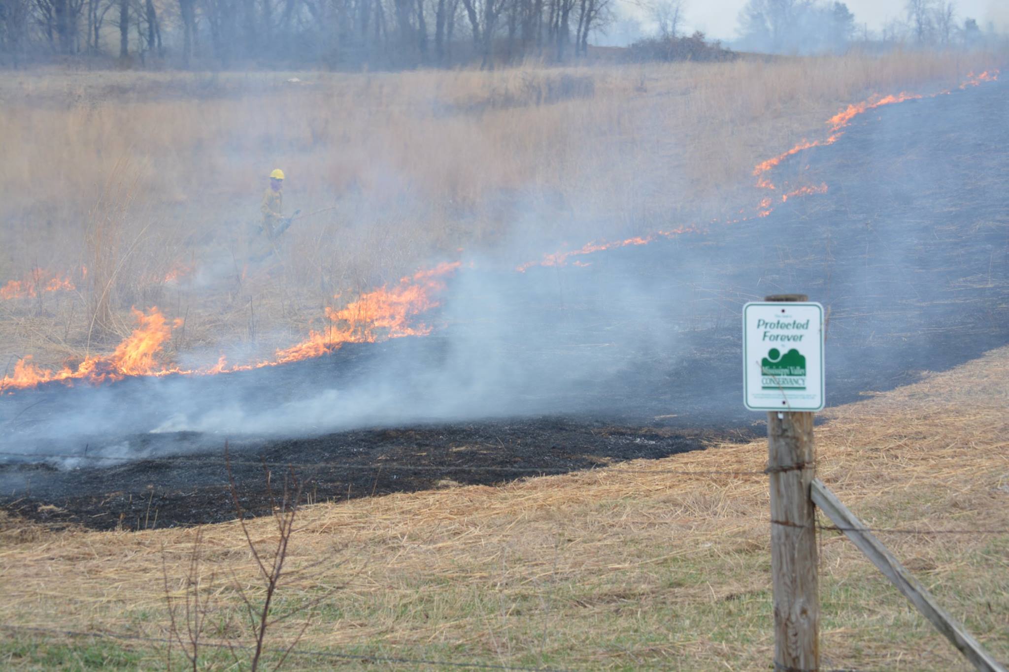 56890499_2144719512232671_3570823208460353536_o