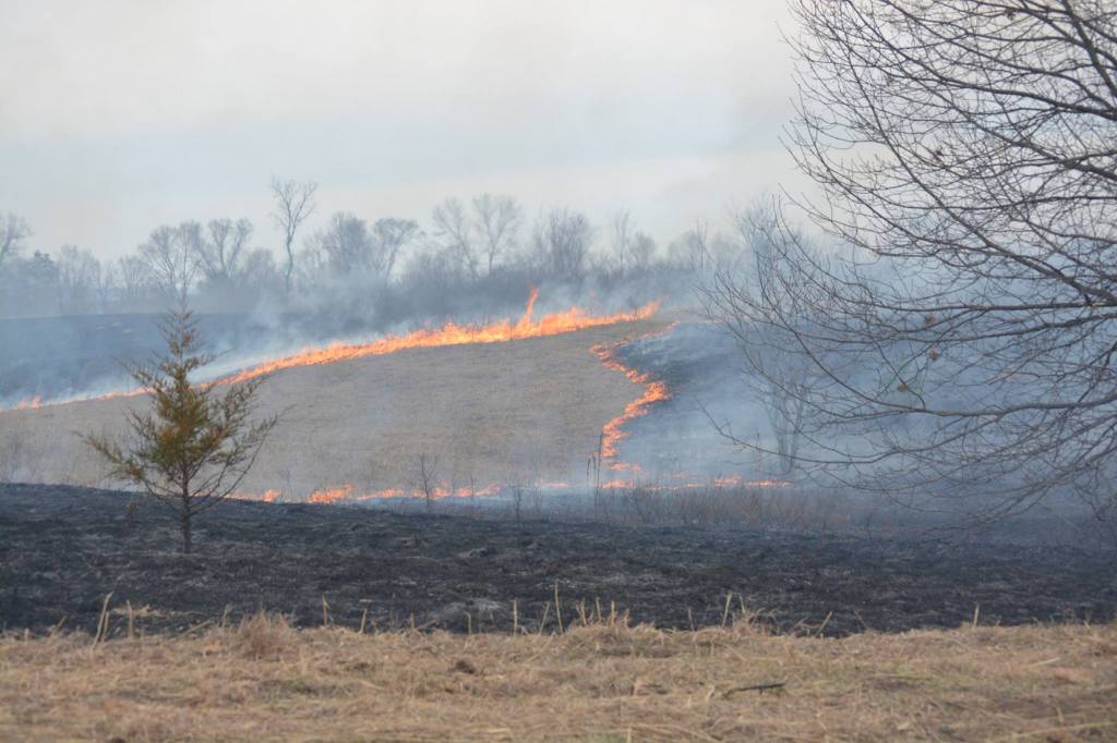 Academic Writing: Prescribed&nbsp;Burns