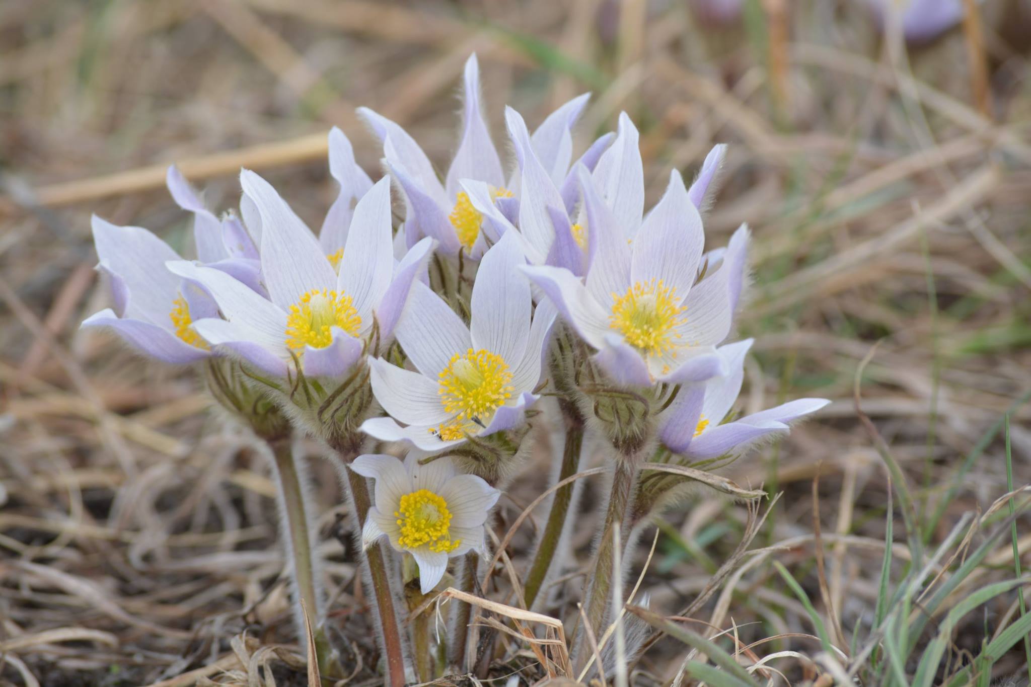 57504002_2144719068899382_5889275941007392768_o