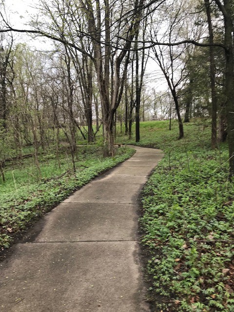 Conditioning for Anxiety or Creativity&nbsp;?