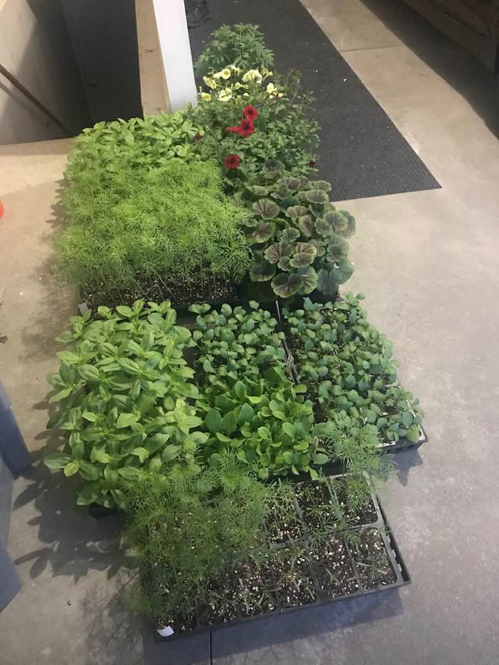 A Day to&nbsp;Garden