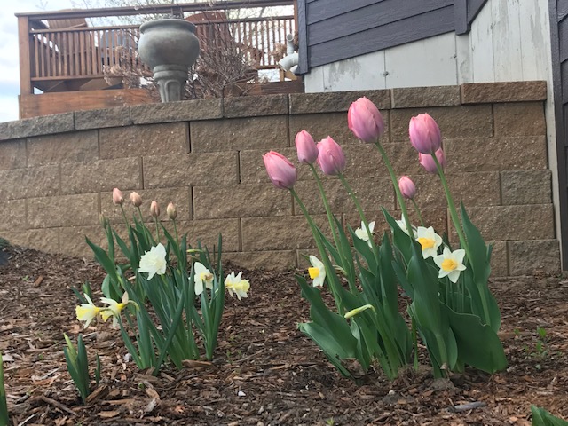 May: A Month of&nbsp;Projects