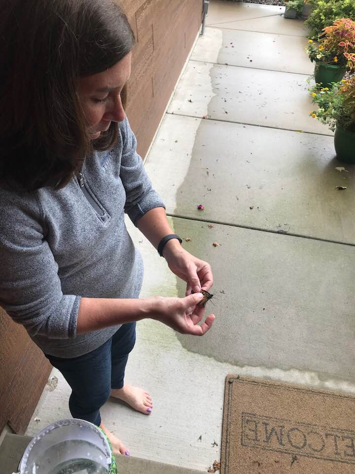 42104284_1838537942850831_1613780772597006336_n