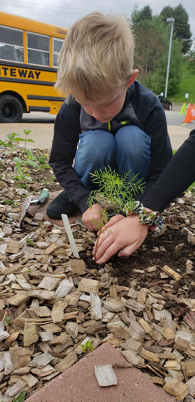 60891558_2321316991469243_2482276383082938368_o