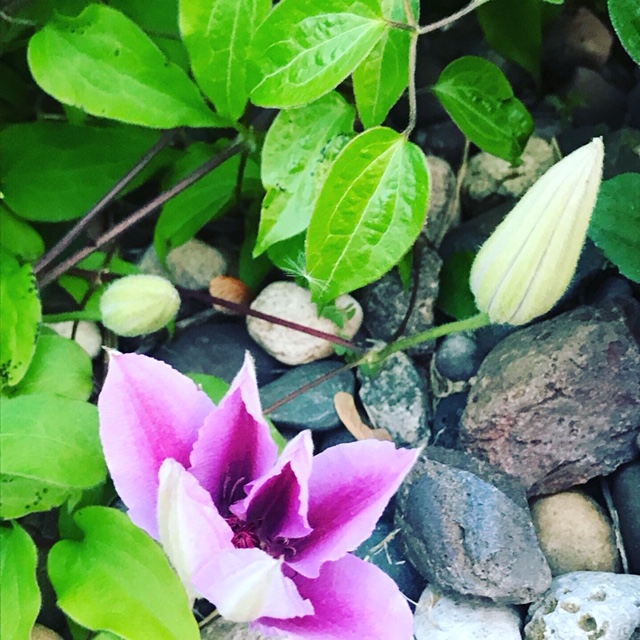 783ACCC8-8460-40C0-8CA9-A84CFE6E661A