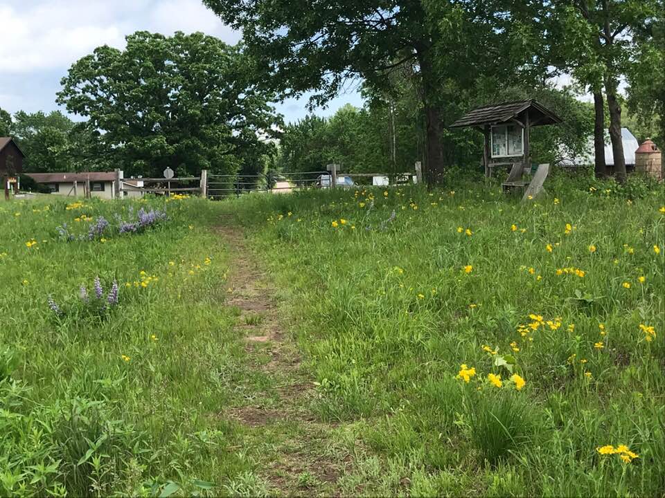 HSPTrailHead 2019 CLabuzzetta