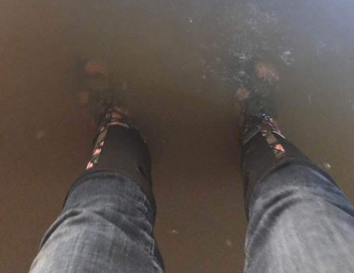 65526177_2270848979619723_8750924551963017216_n