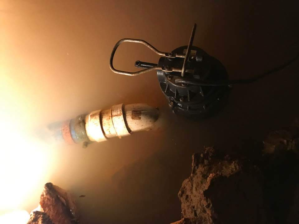 66082101_2270848936286394_1453307037638197248_n