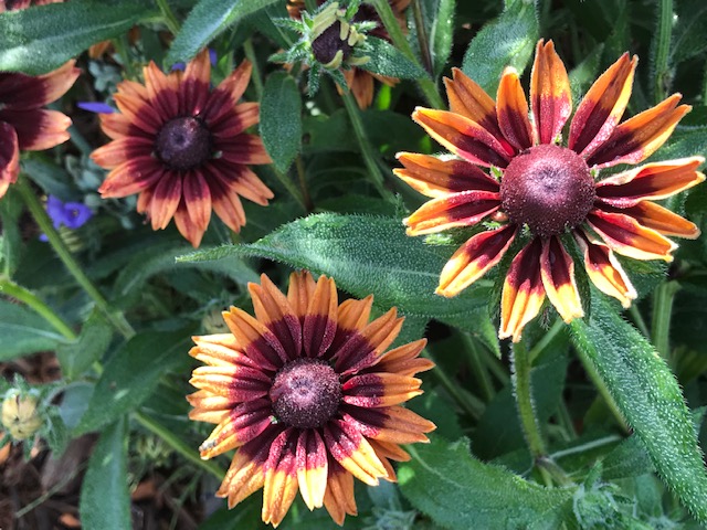 Jealous of my Love for the&nbsp;Mum.