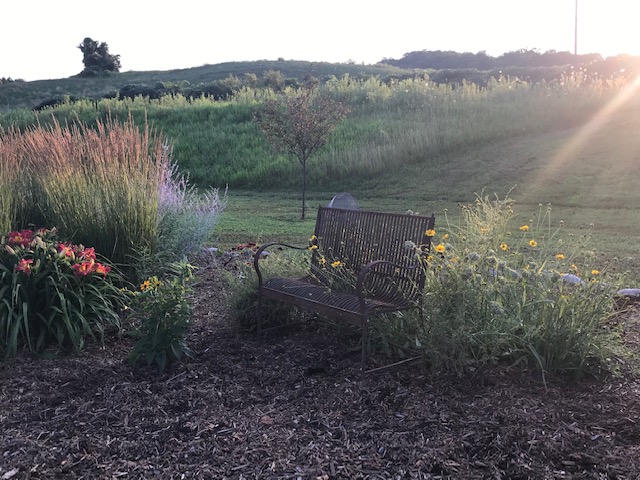 A Wisconsin Perennial Garden in&nbsp;July