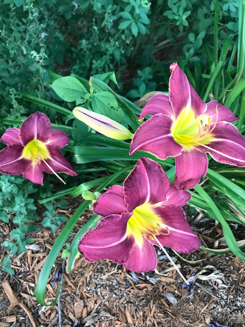 Key Phrases of&nbsp;Life