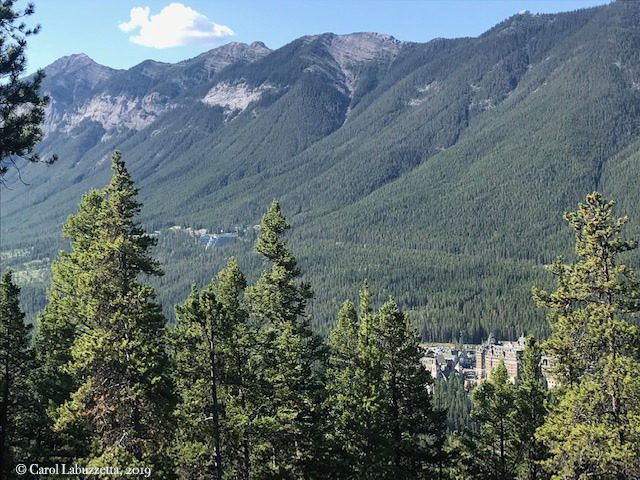 BanffSpringsfromTunnelMtn6228